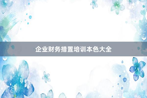 企业财务措置培训本色大全